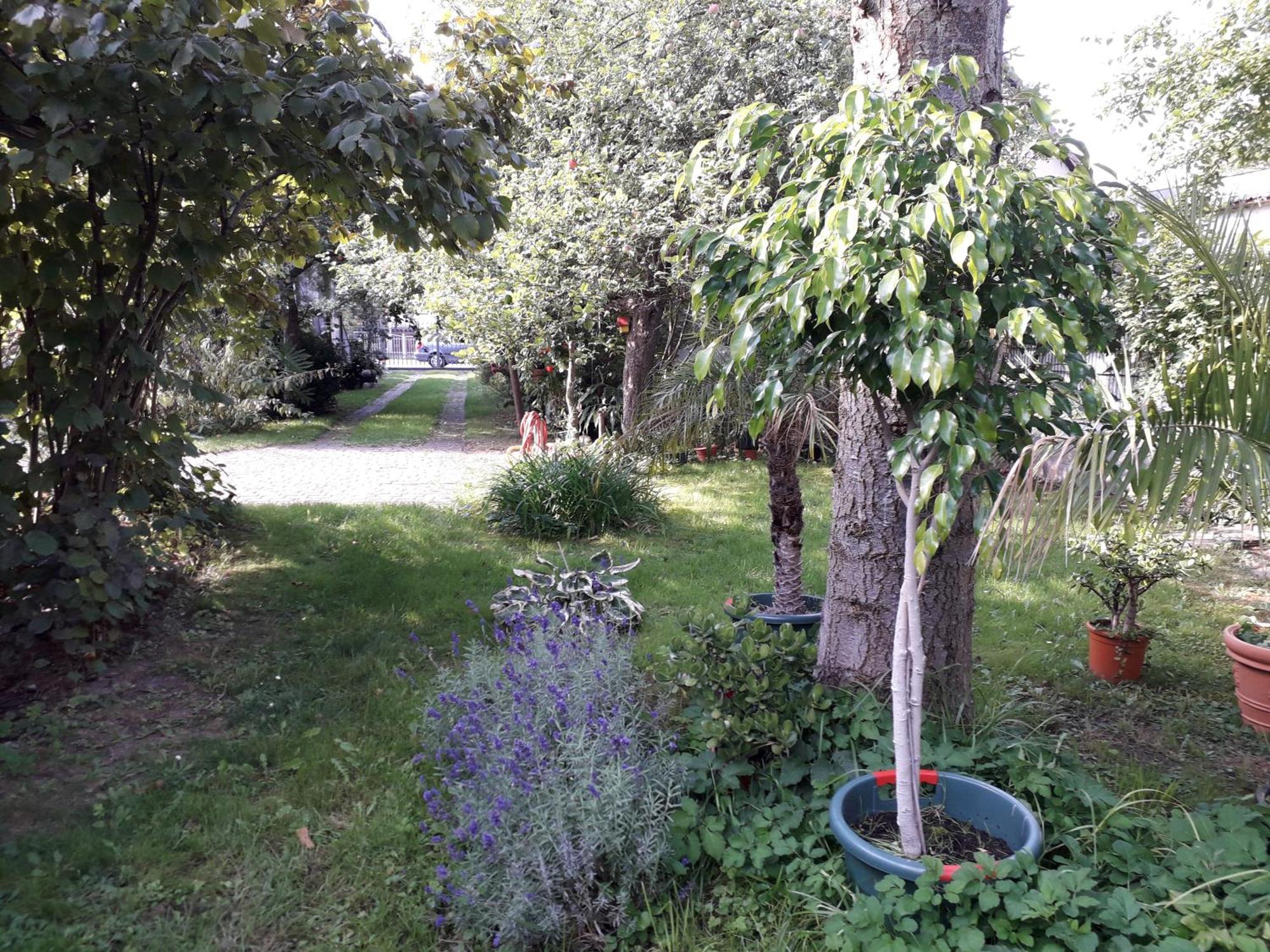 Ferienhaus Gartentraum Rheinsberg Εξωτερικό φωτογραφία