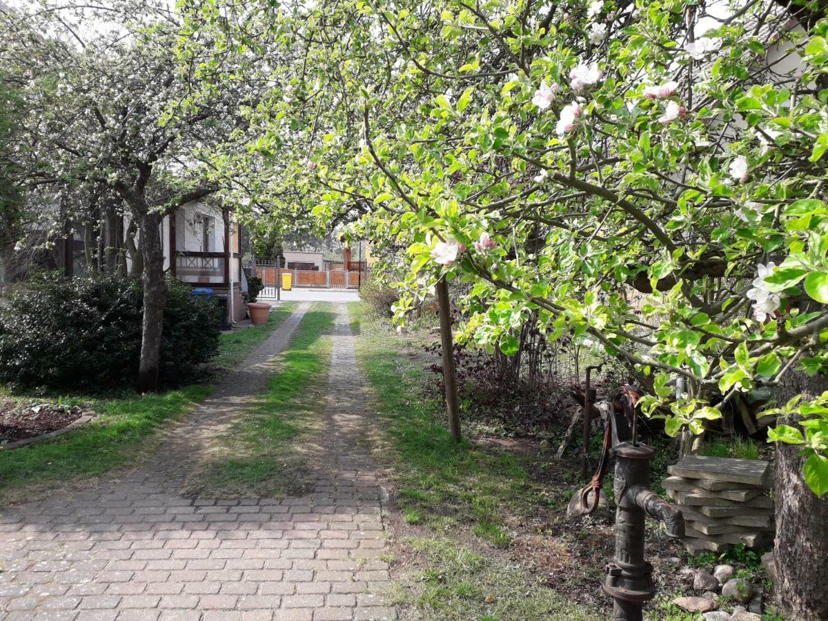 Ferienhaus Gartentraum Rheinsberg Εξωτερικό φωτογραφία